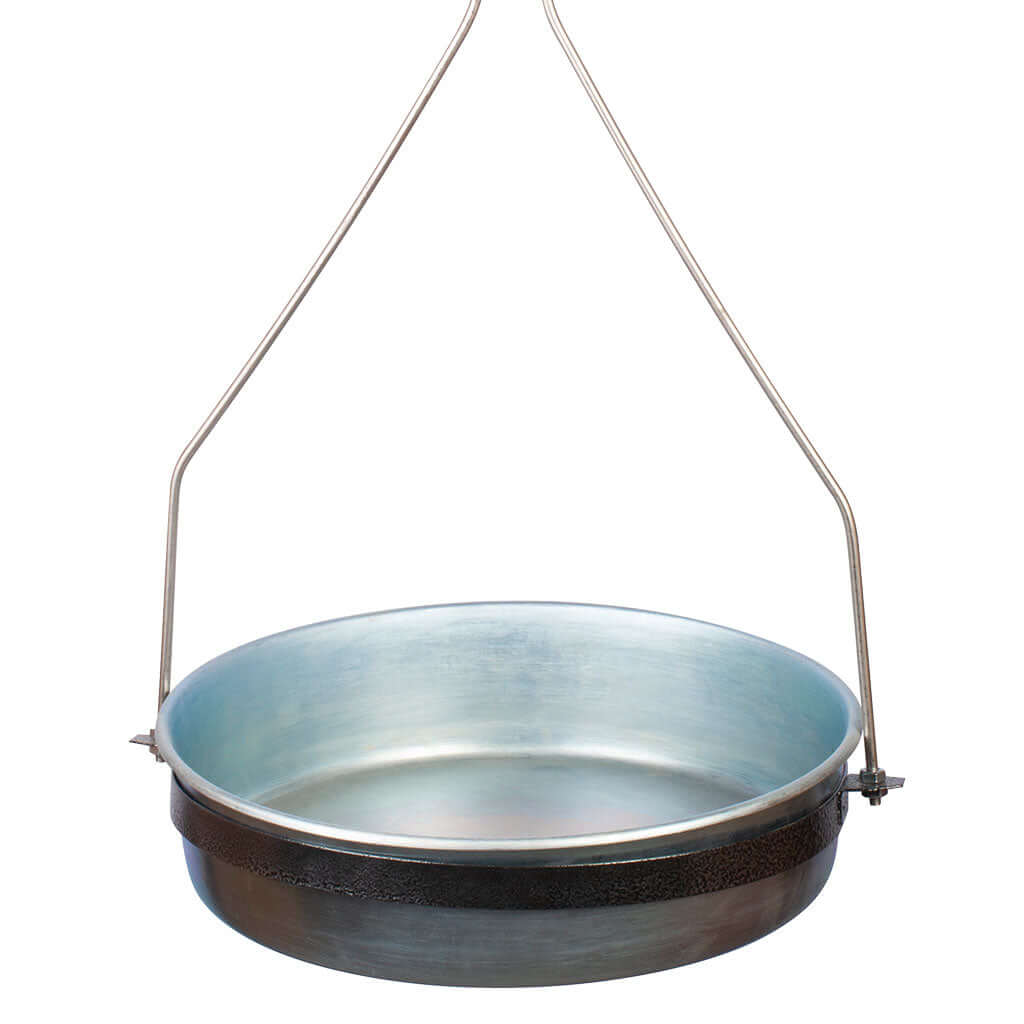 BASCULA-NOVAL-DE-RELOJ-COLGANTE-ZOOM-CHAROLA