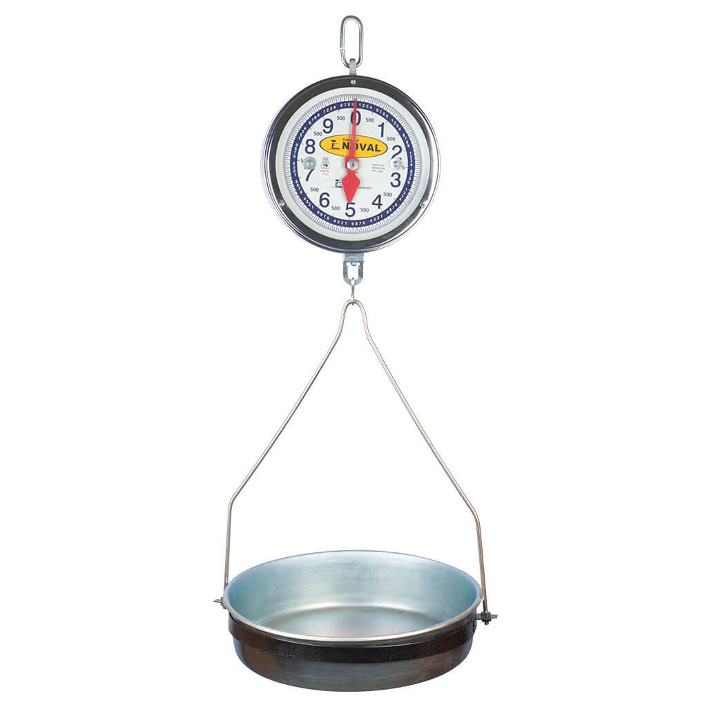 BASCULA-NOVAL-DE-RELOJ-COLGANTE