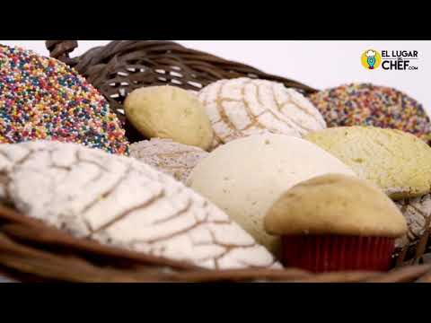 video presentacion bati-20 rhino