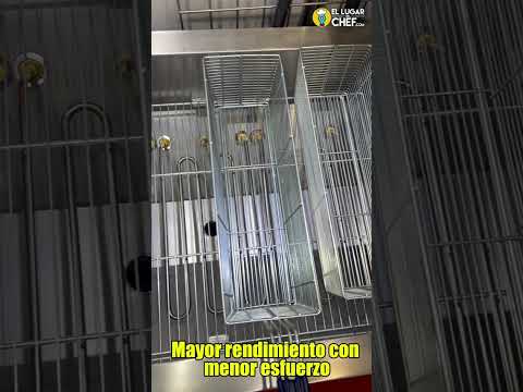 Freidora industrial eléctrica Metalcubas FOEI74CP video presentacion