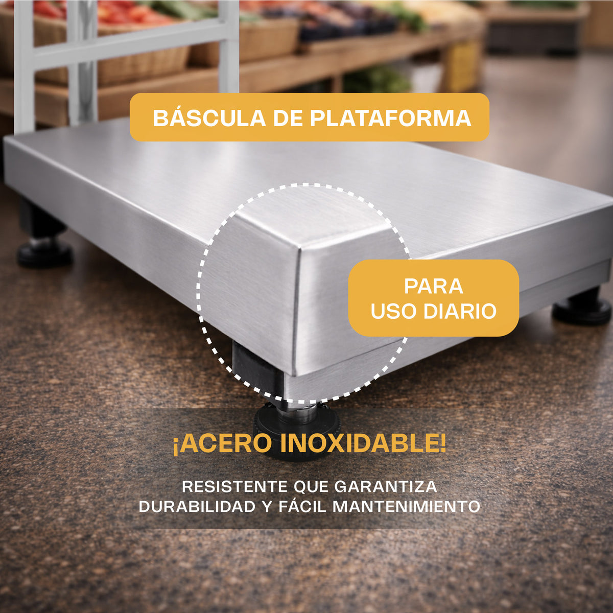 Detalle de la plataforma de acero inoxidable de báscula RHINO BAPAG-200