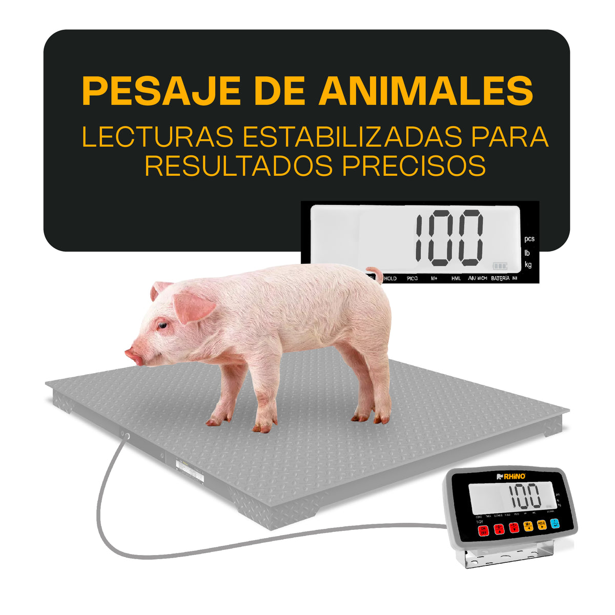 Indicador RHINO I-QY pesaje veterinario demostrativo: plataforma y animal no incluidos