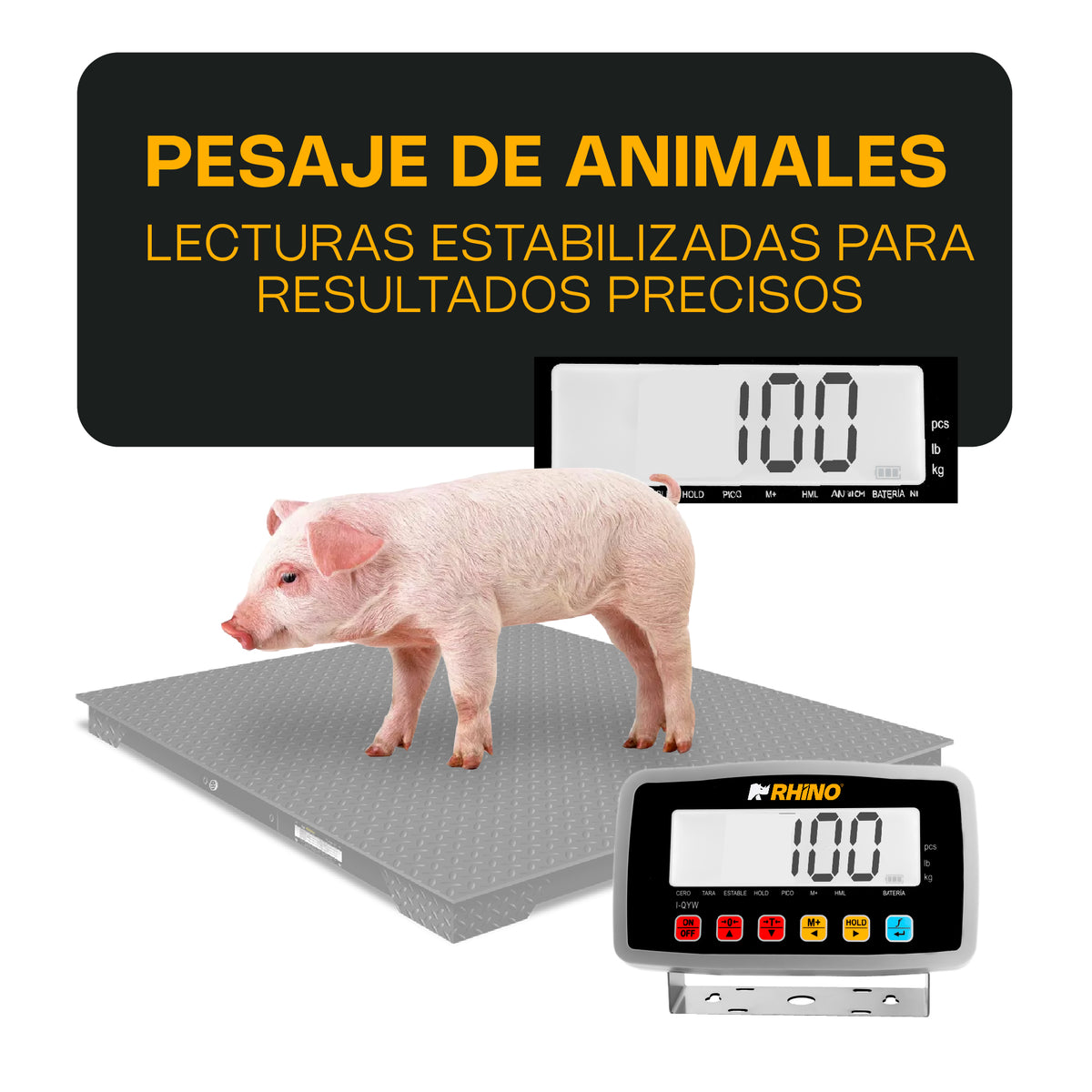 Indicador RHINO I-QYW demostración de pesaje animal; báscula ilustrativa no incluida