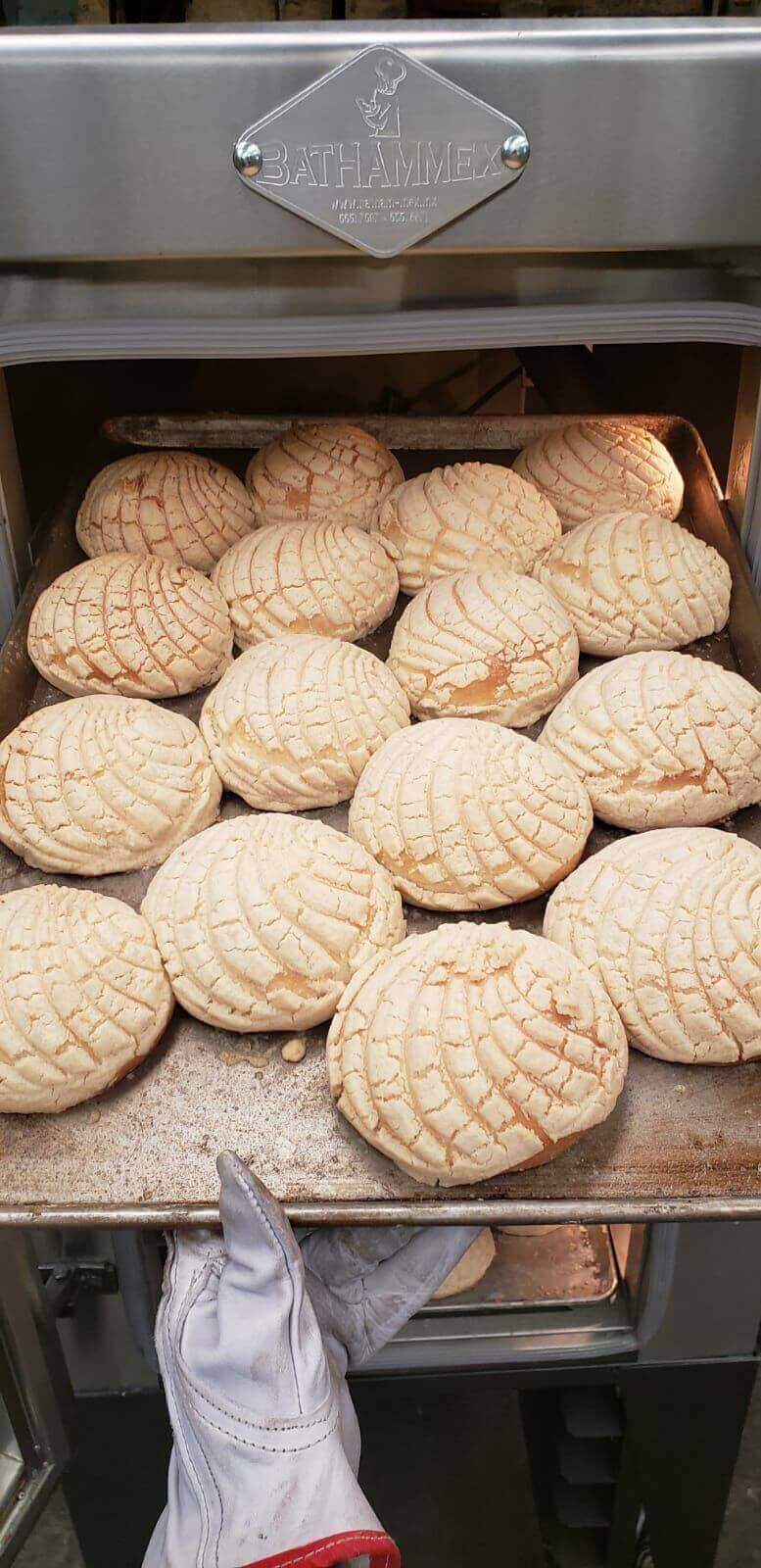 Horno de Convección a Gas Bathammex Turbi: La Revolución en Cocina Uniforme-Hornos de Convección-BATHAMMEX-ElLugarDelChef.com