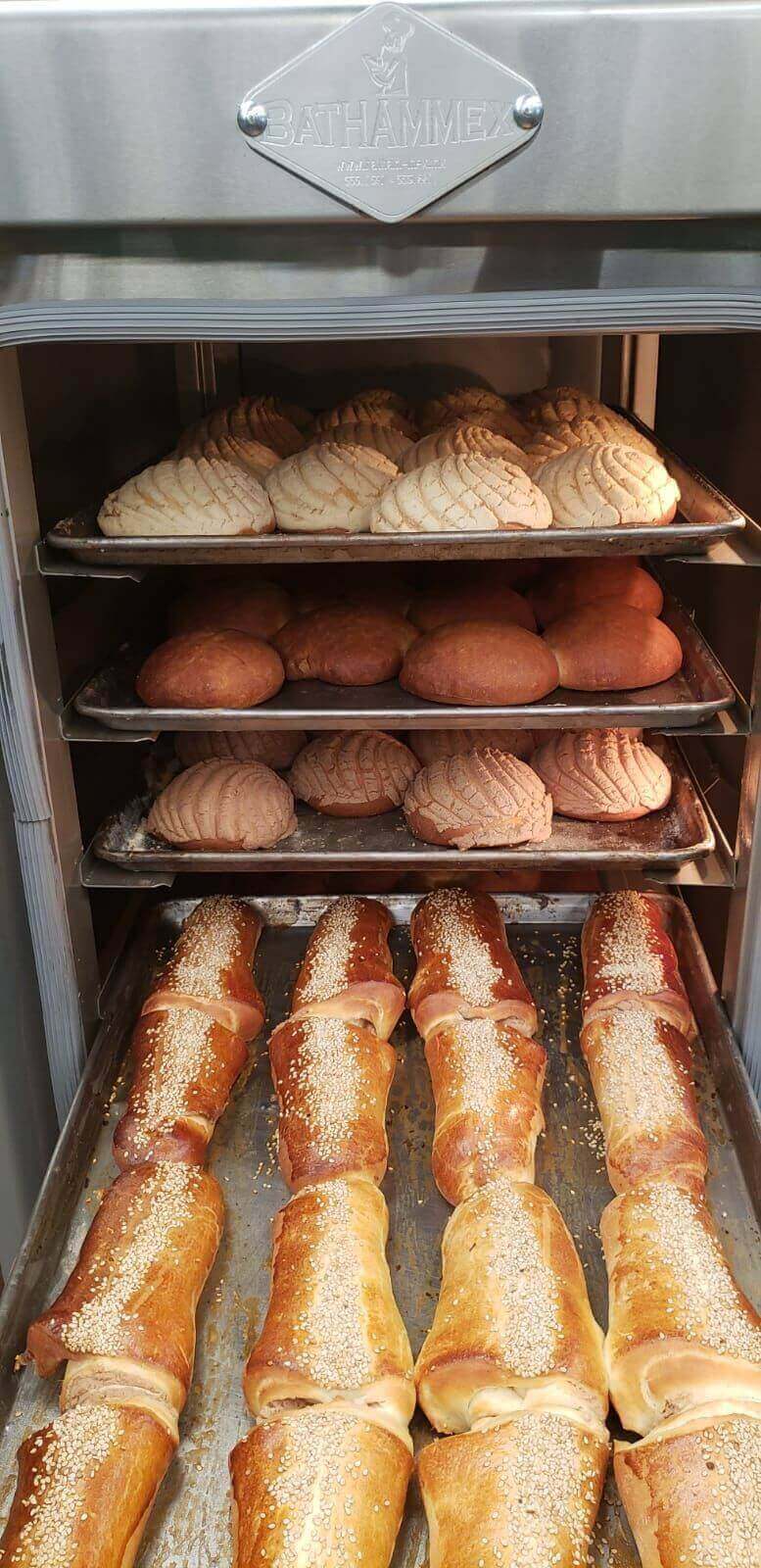 Horno de Convección a Gas Bathammex Turbi: La Revolución en Cocina Uniforme-Hornos de Convección-BATHAMMEX-ElLugarDelChef.com