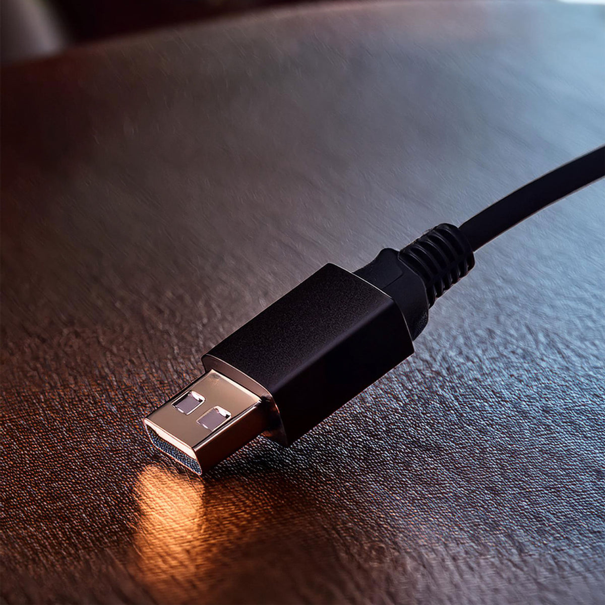 Cable de Comunicación USB RHINO CAUS-1 de 2 Metros para Básculas - foto 2