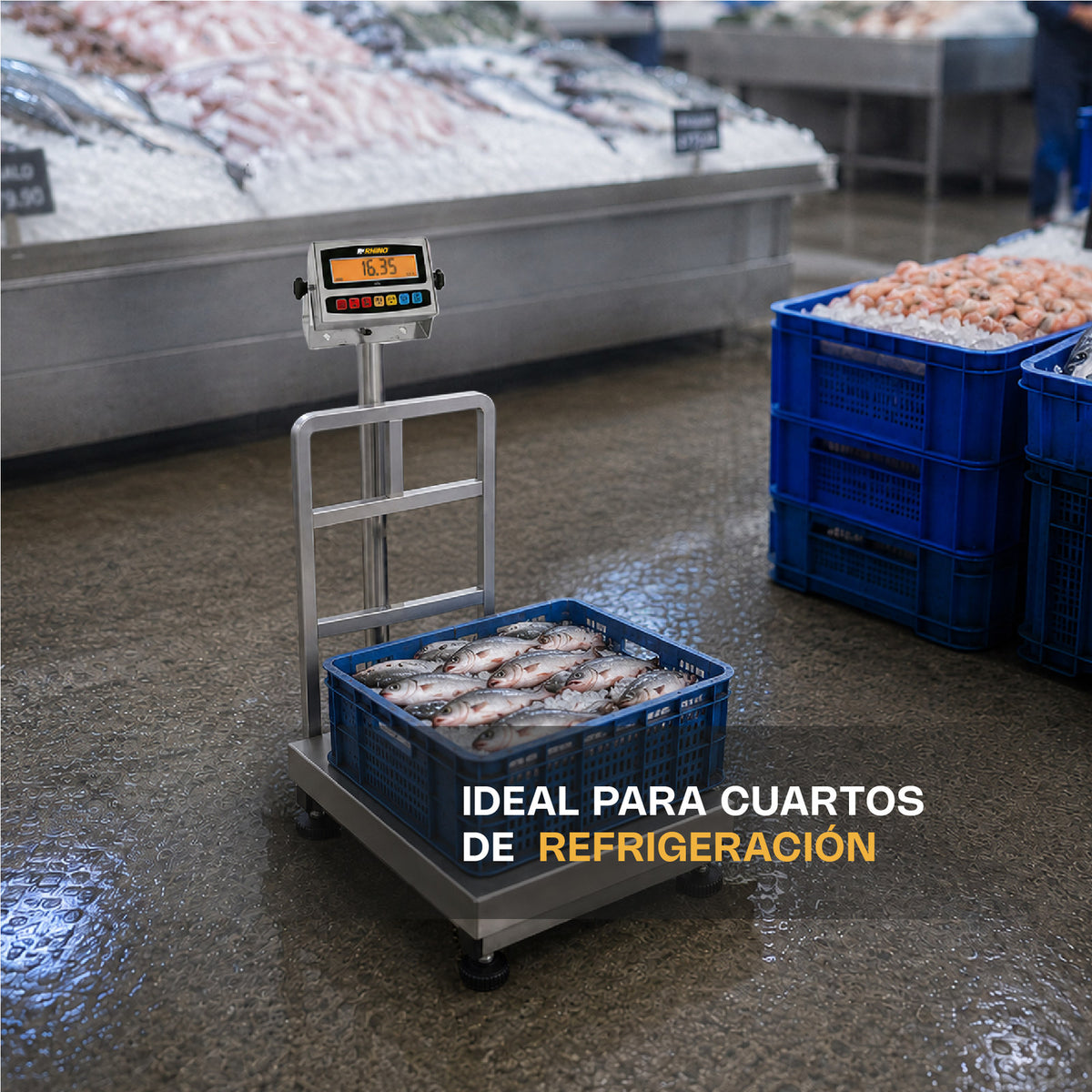 Báscula RHINO BAPAG-200 en área de refrigeración, ejemplo de aplicación