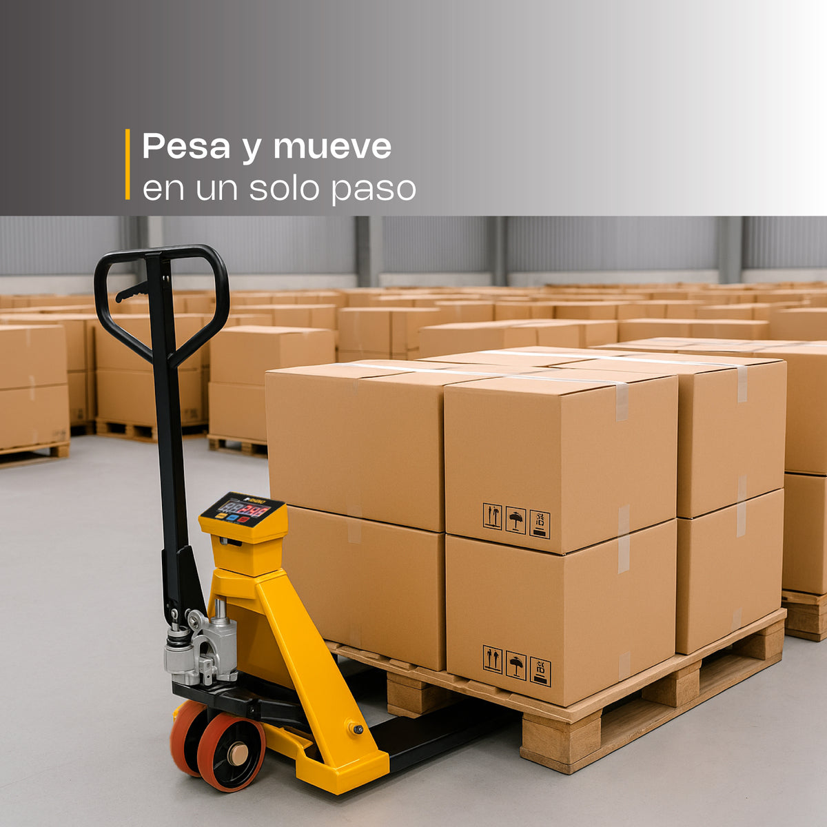 RHINO BAPAT-2T vista oficial del producto 3